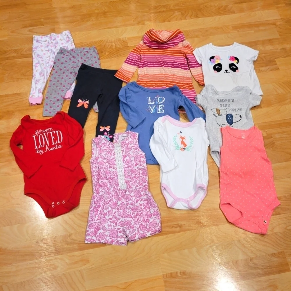 Baby Girl Clothing Bundle 18 Months